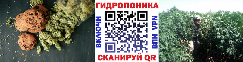 Cannafood конопля  omg ссылки  Сокол  даркнет сайт 