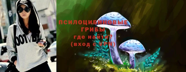 ПСИЛОЦИБИНОВЫЕ ГРИБЫ Приозерск