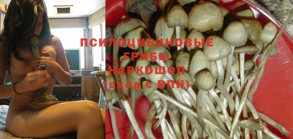 мет Аркадак